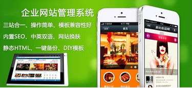 提升营销效率的黄金选择 免费与认证营销软件购买指南